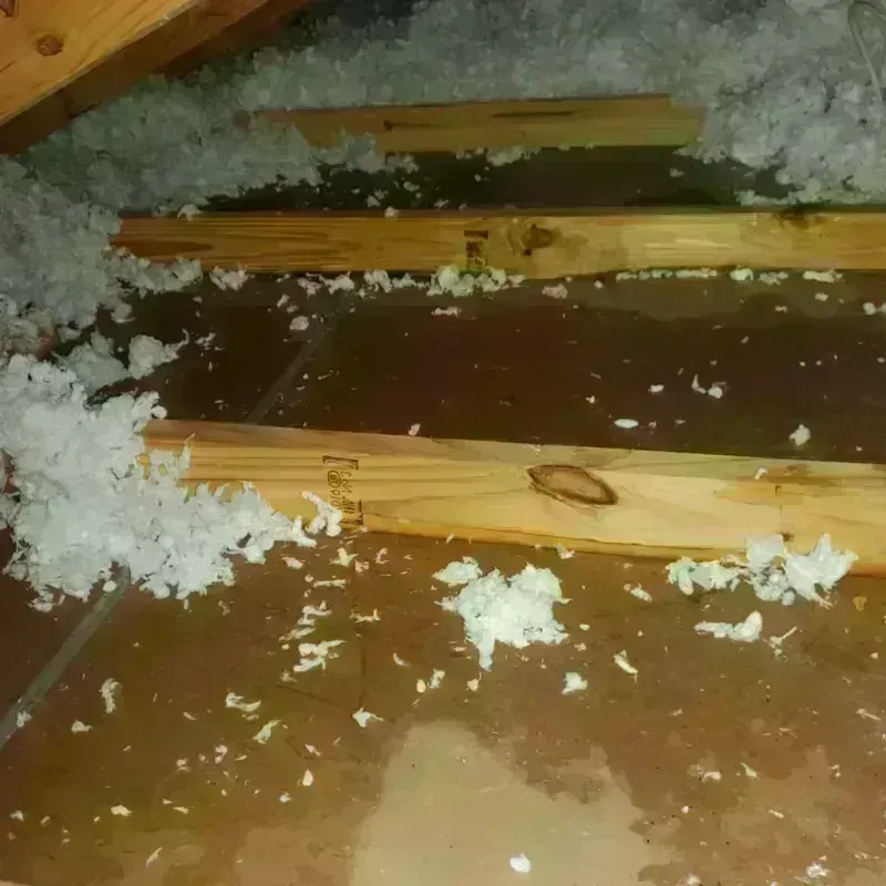 Attic Water Damage in Eufaula, AL